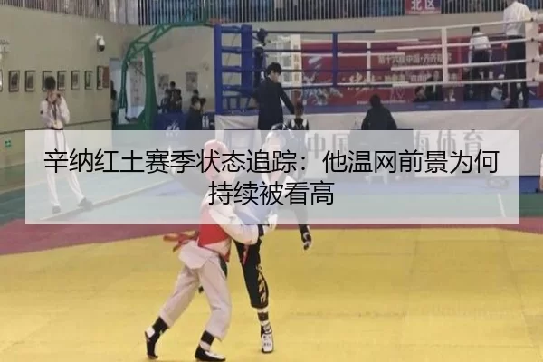 辛纳红土赛季状态追踪：他温网前景为何持续被看高