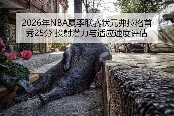nian-xia-ji-lian-sai-zhuang-yuan-fu-la-ge-shou-xiu-fen-tou-she-qian-li-yu-shi-ying-su-du-ping-gu-3-896.jpg
